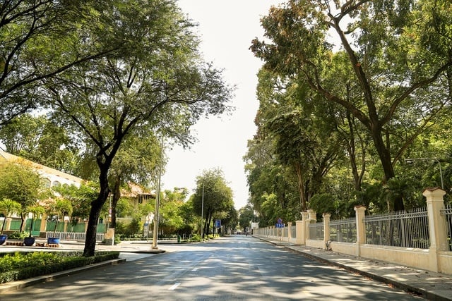 Nhật ký giãn cách: Sài Gòn ơi, ngày mai sẽ nắng đẹp (Bài 3) - Ảnh 3.