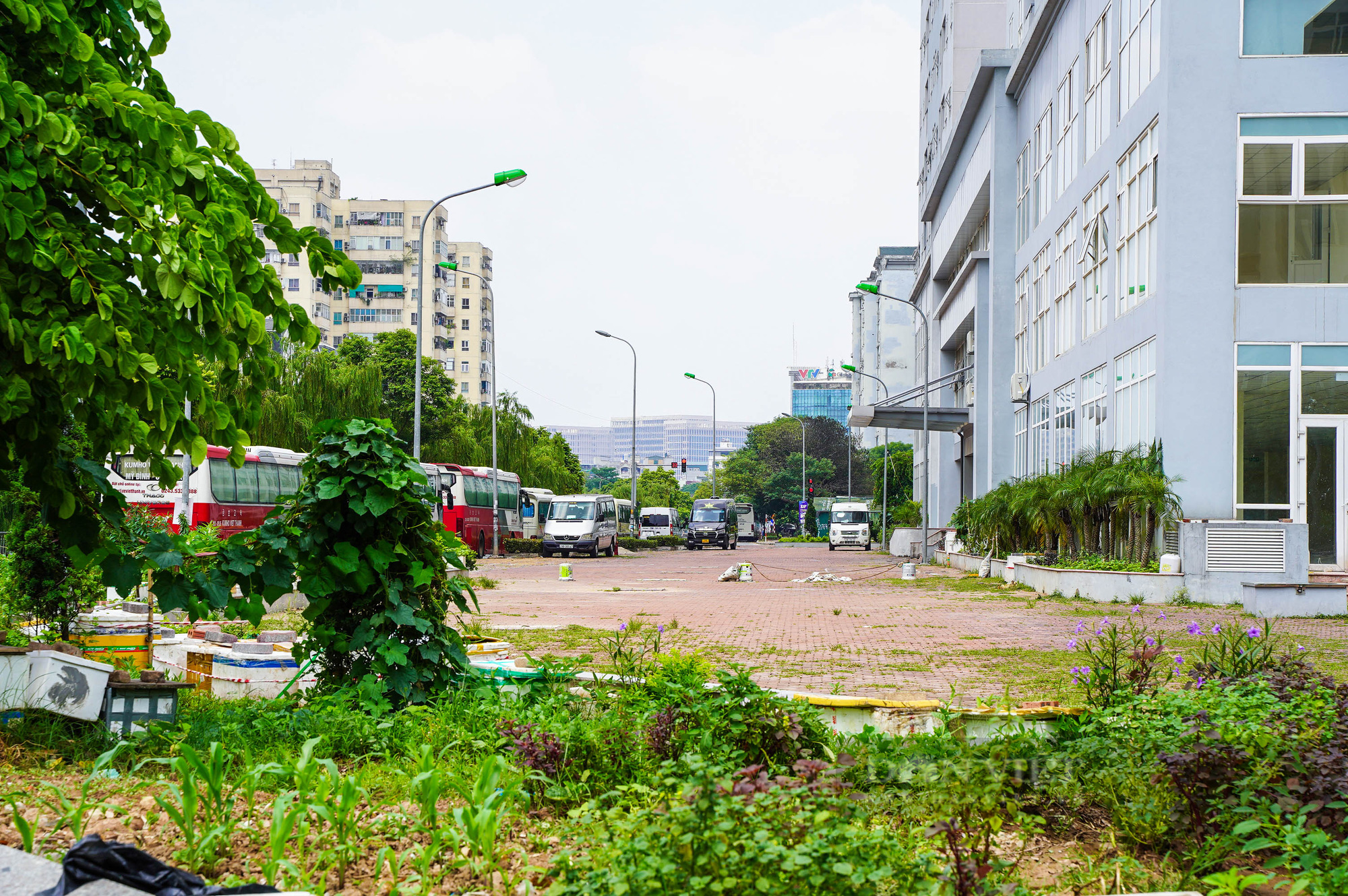Điểm qua các khu nhà tái định cư được trưng dụng là bệnh viện dã chiến tại Hà Nội - Ảnh 6.