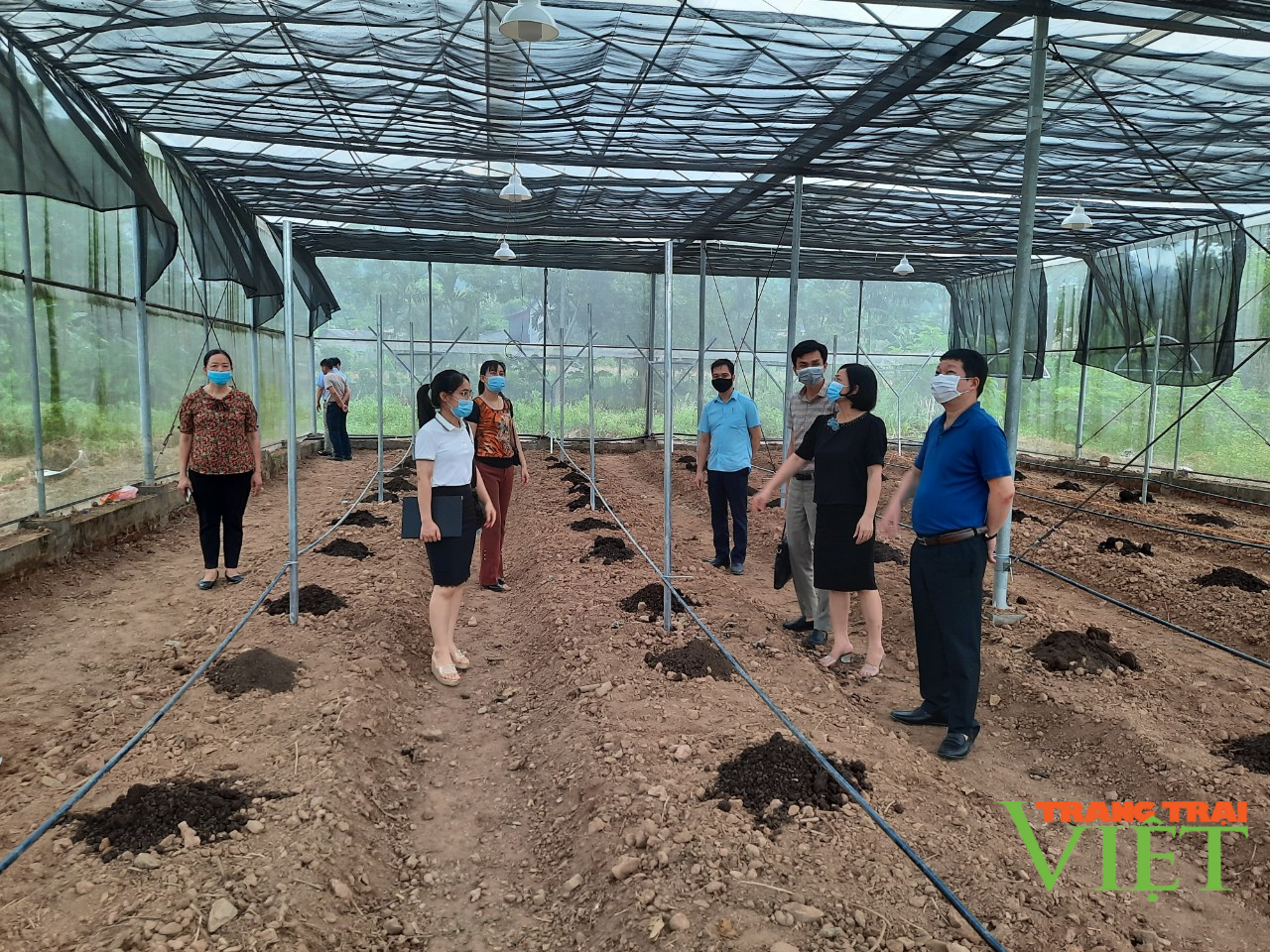 Hội Nông dân tỉnh Hoà Bình: Nâng cao hiệu quả phong trào sản xuất kinh doanh giỏi cho hội viên - Ảnh 1. Hội Nông dân tỉnh Hoà Bình: Nâng cao hiệu quả phong trào sản xuất kinh doanh giỏi cho hội viên - Ảnh 1.