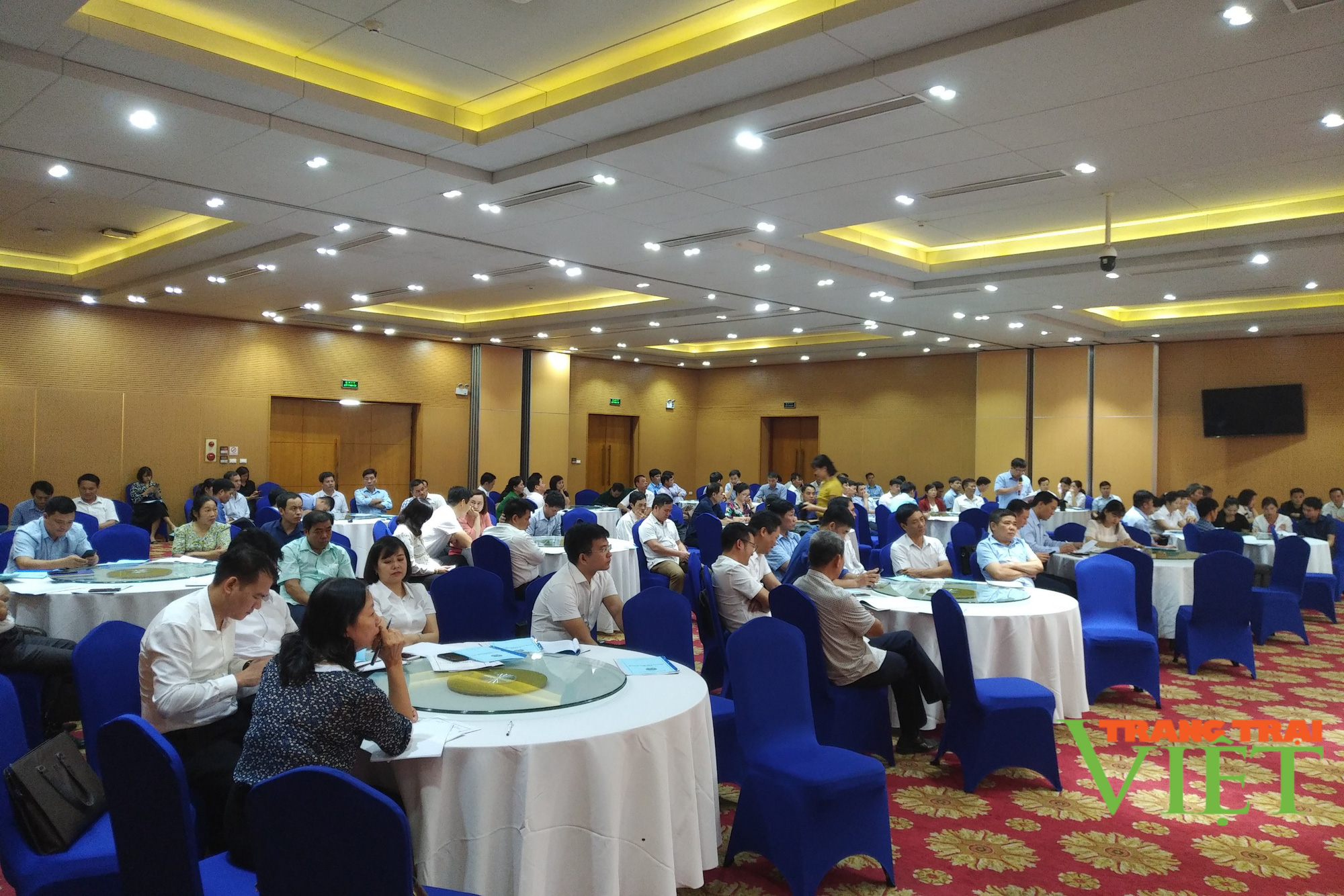Hội Nông dân tỉnh Hoà Bình: Nâng cao hiệu quả phong trào sản xuất kinh doanh giỏi cho hội viên - Ảnh 6. Hội Nông dân tỉnh Hoà Bình: Nâng cao hiệu quả phong trào sản xuất kinh doanh giỏi cho hội viên - Ảnh 6.