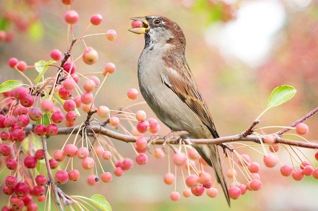 Người sinh vào 3 tháng Âm lịch này biết &quot;kích hoạt&quot; năng lực, giỏi kiếm tiền, dễ thăng tiến - Ảnh 1.