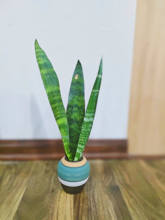 8 loại cây cảnh đứng top hấp thụ chất độc, chuyên gia khuyên nhà nào cũng nên trồng ít nhất 1 cây - Ảnh 6.