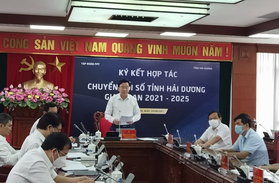Hải Dương phấn đấu là một trong những tỉnh đi đầu cả nước về chuyển đổi số nhằm phát triển toàn diện - Ảnh 3.