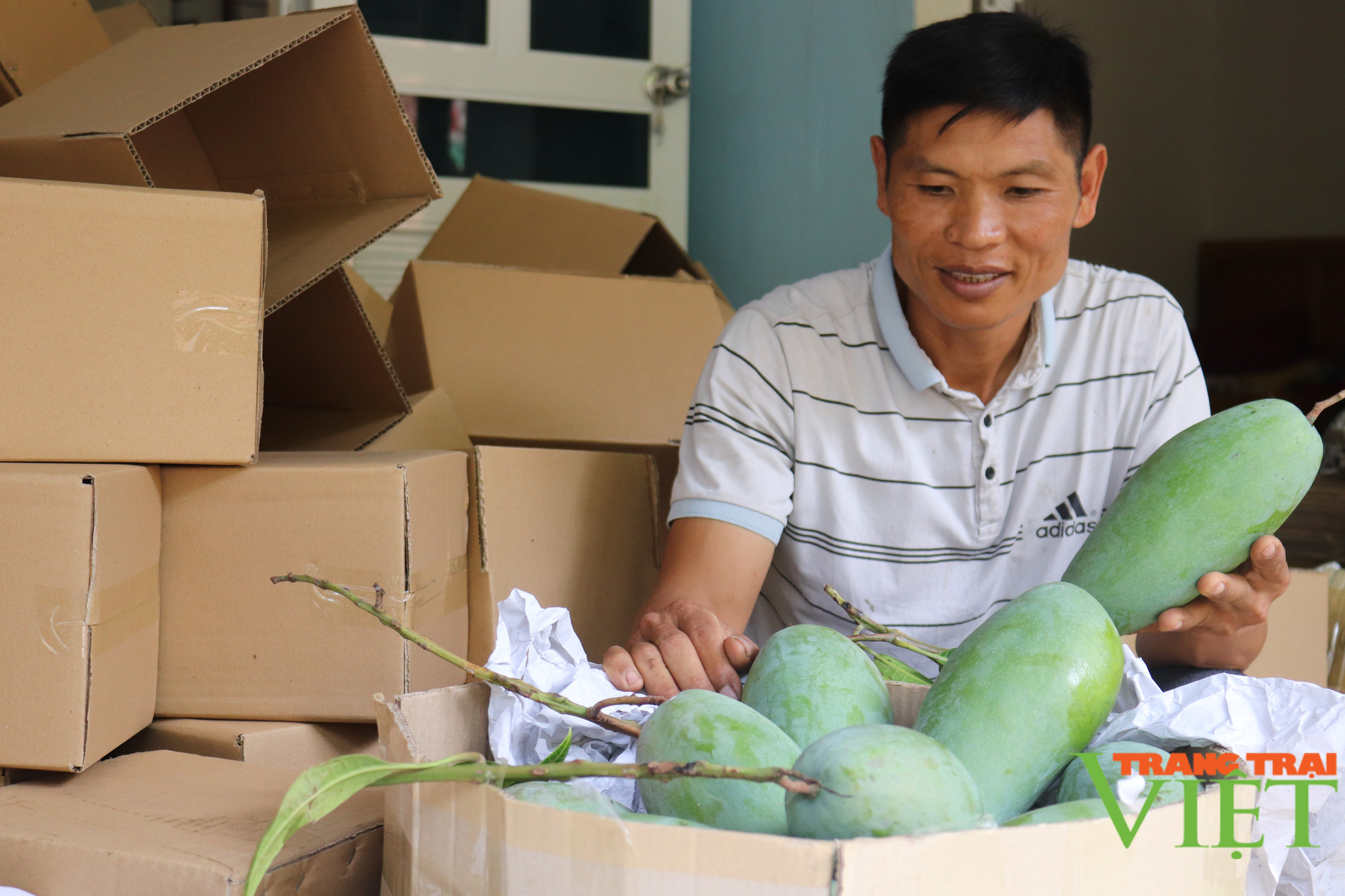 Mường Bú xây dựng nông thôn mới nâng cao - Ảnh 2. Mường Bú xây dựng nông thôn mới nâng cao - Ảnh 2.