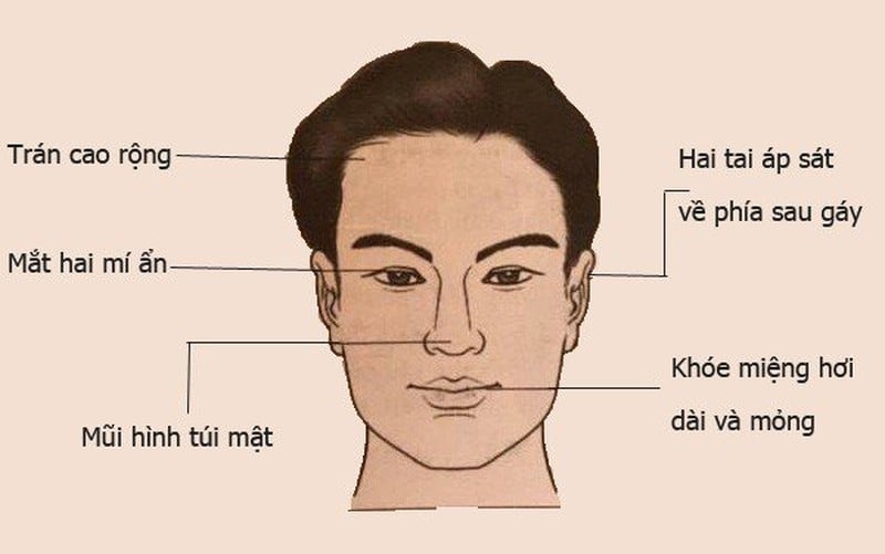 Muốn biết người đàn ông có tài hoa, thành đạt hay không, hãy nhìn vào tướng mặt này - Ảnh 1.
