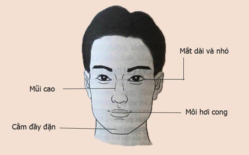 Muốn biết người đàn ông có tài hoa, thành đạt hay không, hãy nhìn vào tướng mặt này - Ảnh 2.