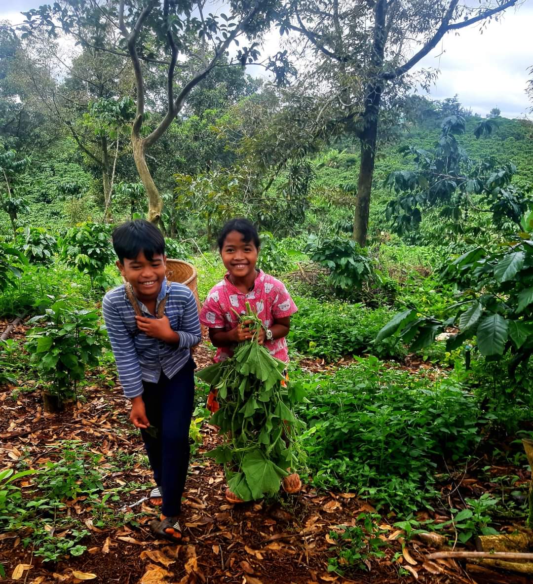 Xúc động: Người DTTS lên rừng hái măng, chặt chuối gửi về TP.Hồ Chí Minh chống dịch - Ảnh 1.