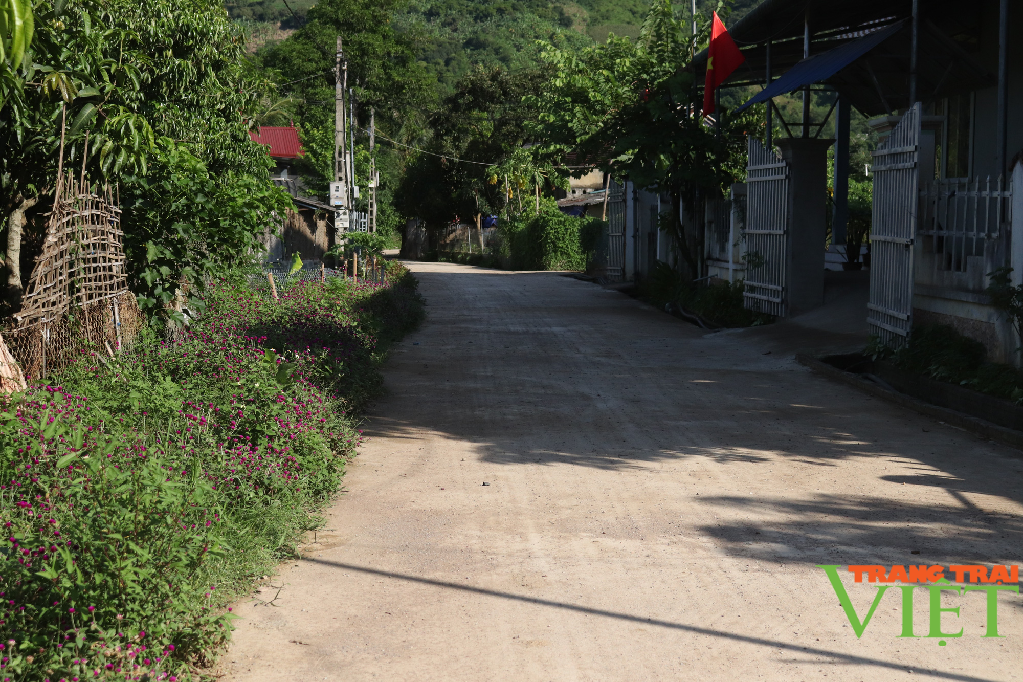 Hiến đất xây dựng nông thôn mới nâng cao ở Mường Bú: Đảng viên đi trước, làng nước theo sau - Ảnh 5. Hiến đất xây dựng nông thôn mới nâng cao ở Mường Bú: Đảng viên đi trước, làng nước theo sau - Ảnh 5.