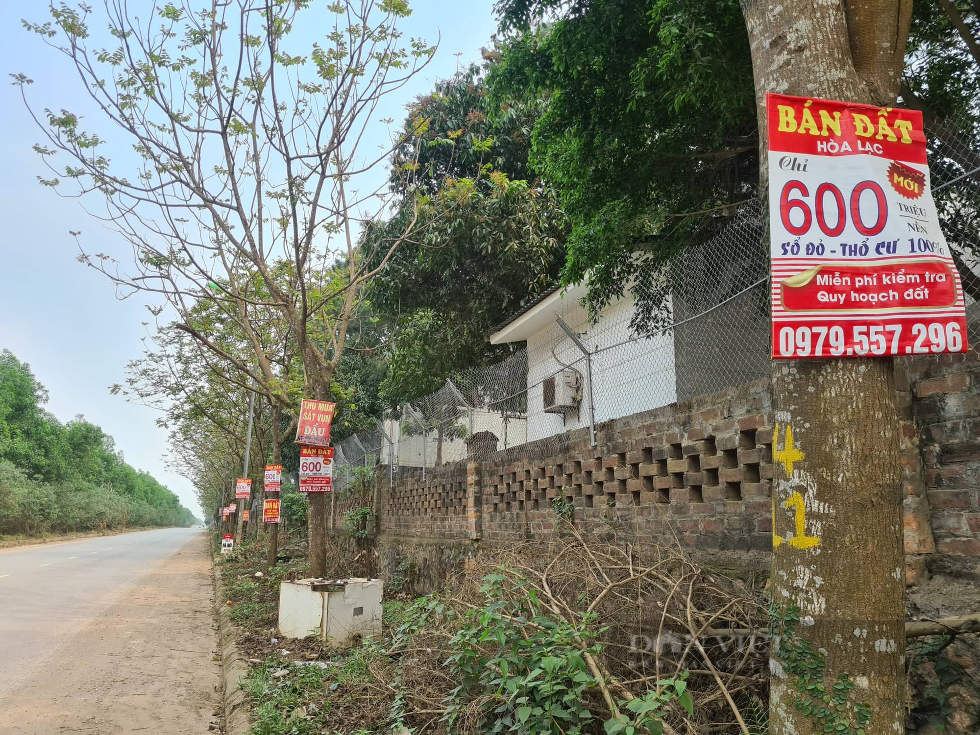 &quot;Sóng&quot; mua gom đất cắt lỗ bắt đầu sôi động - Ảnh 1.