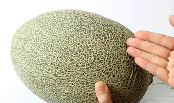 Mẹo chọn dưa lưới - Ảnh 7.