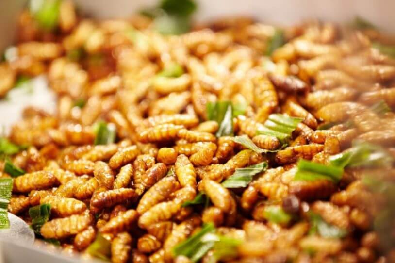 7 loại đặc sản đệ nhất của vùng đất Tổ, có loại chỉ nghe tên thôi cũng đã gợi bao sự tò mò - Ảnh 10.