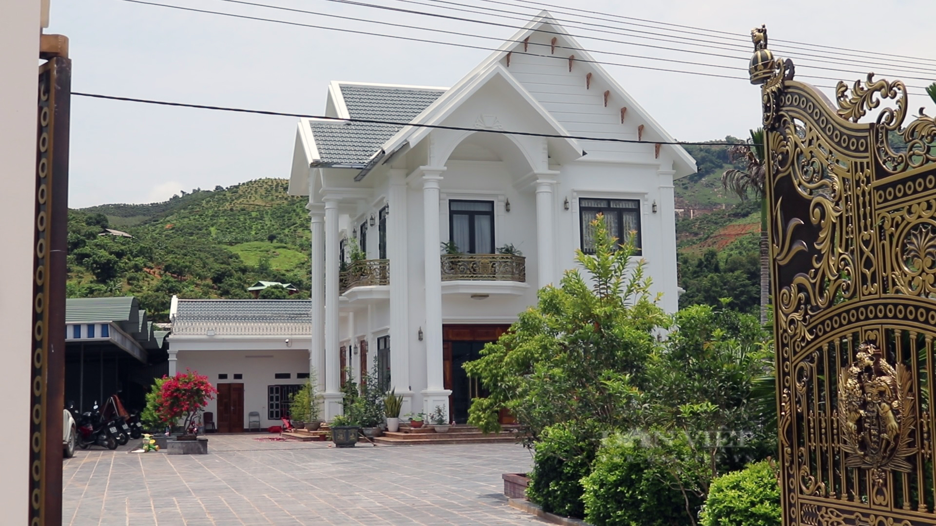 &quot;Hoá kiếp&quot; từ phận làm thuê thành tỷ phú nhờ nuôi lợn, trồng cây ăn quả - Ảnh 6.