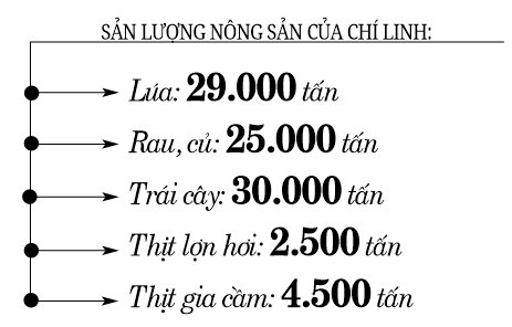 Chí Linh “mở vườn” đưa nhãn đi Mỹ, EU  - Ảnh 3.
