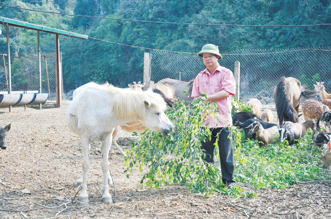 Ninh Bình: Nuôi con đặc sản thu tiền tỷ nhưng chúng tôi vẫn “khát” vốn - Ảnh 1.