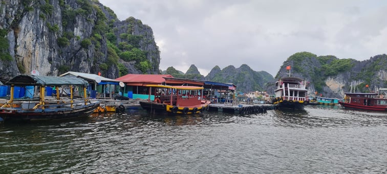 Hải Phòng: Xây dựng lộ trình giải tỏa lồng bè nuôi trồng thủy sản trên các vịnh thuộc quần đảo Cát Bà - Ảnh 1.