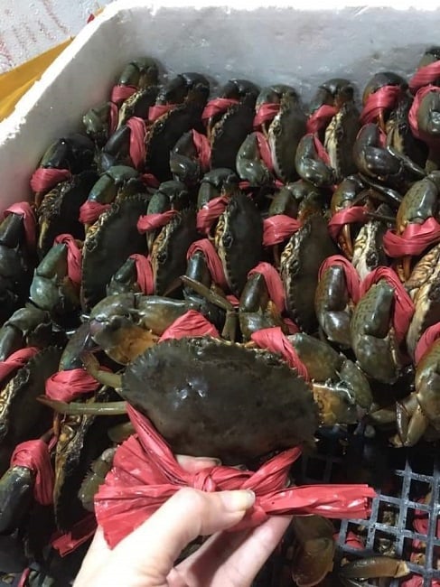 Chưa từng có: Các loại hải sản &quot;sang chảnh&quot; giảm tới vài trăm nghìn đồng/kg vẫn ế sưng - Ảnh 1.