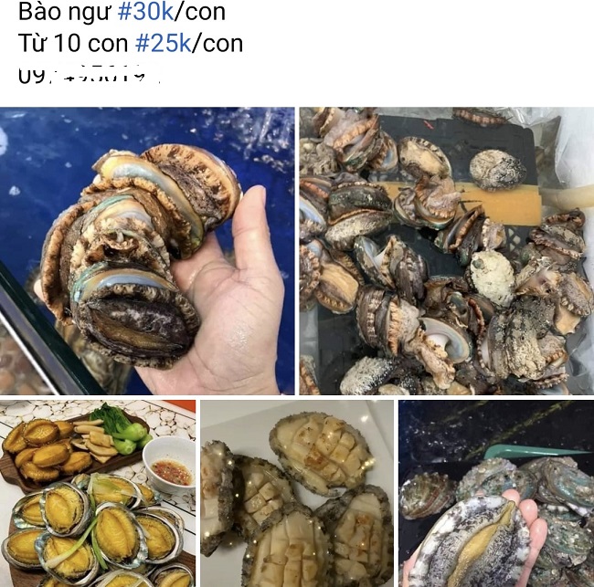 Chưa từng có: Các loại hải sản &quot;sang chảnh&quot; giảm tới vài trăm nghìn đồng/kg vẫn ế sưng - Ảnh 4.