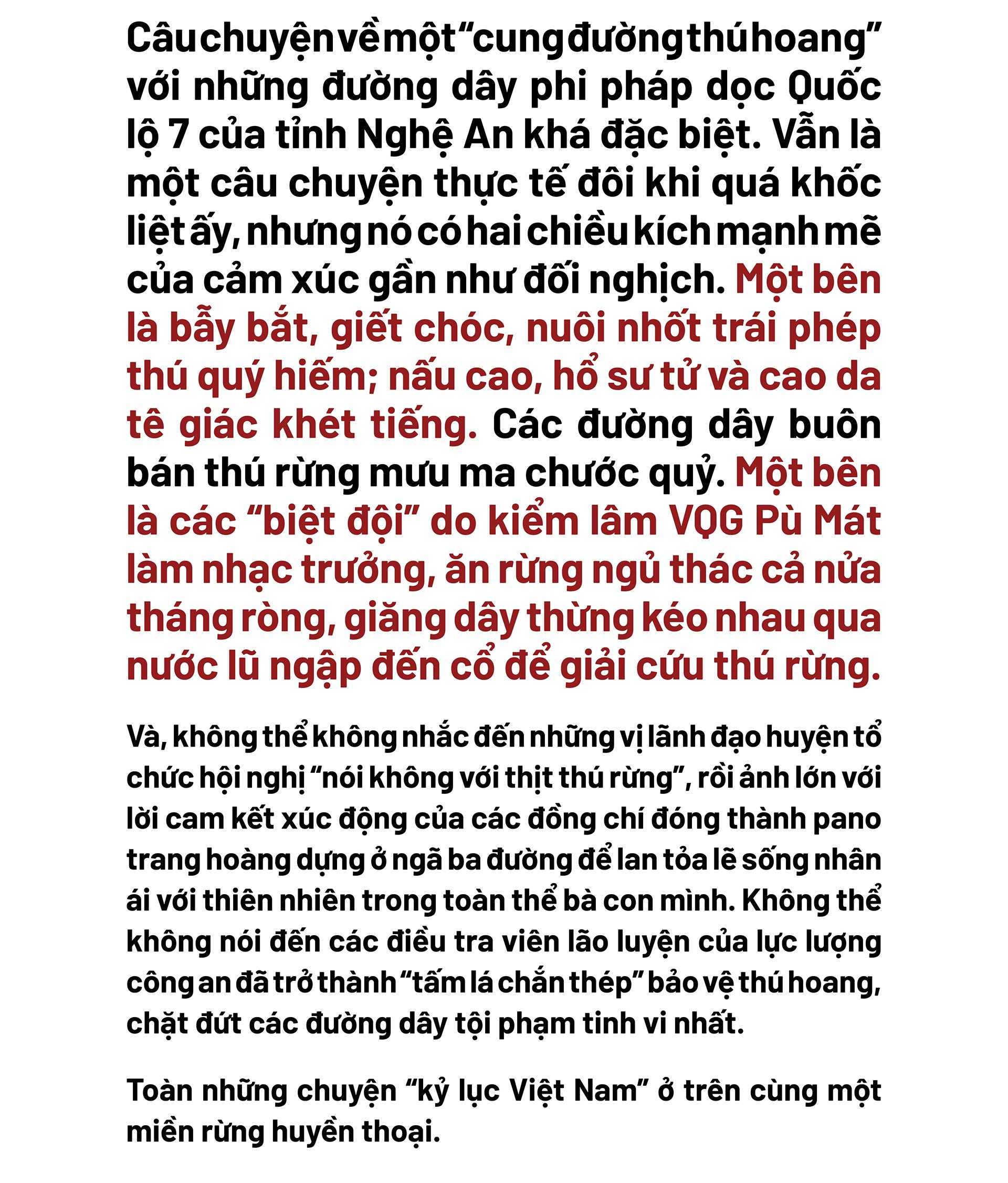 Bài cuối: “Biệt đội giải cứu thú rừng” và những lá chắn thép!  - Ảnh 3.