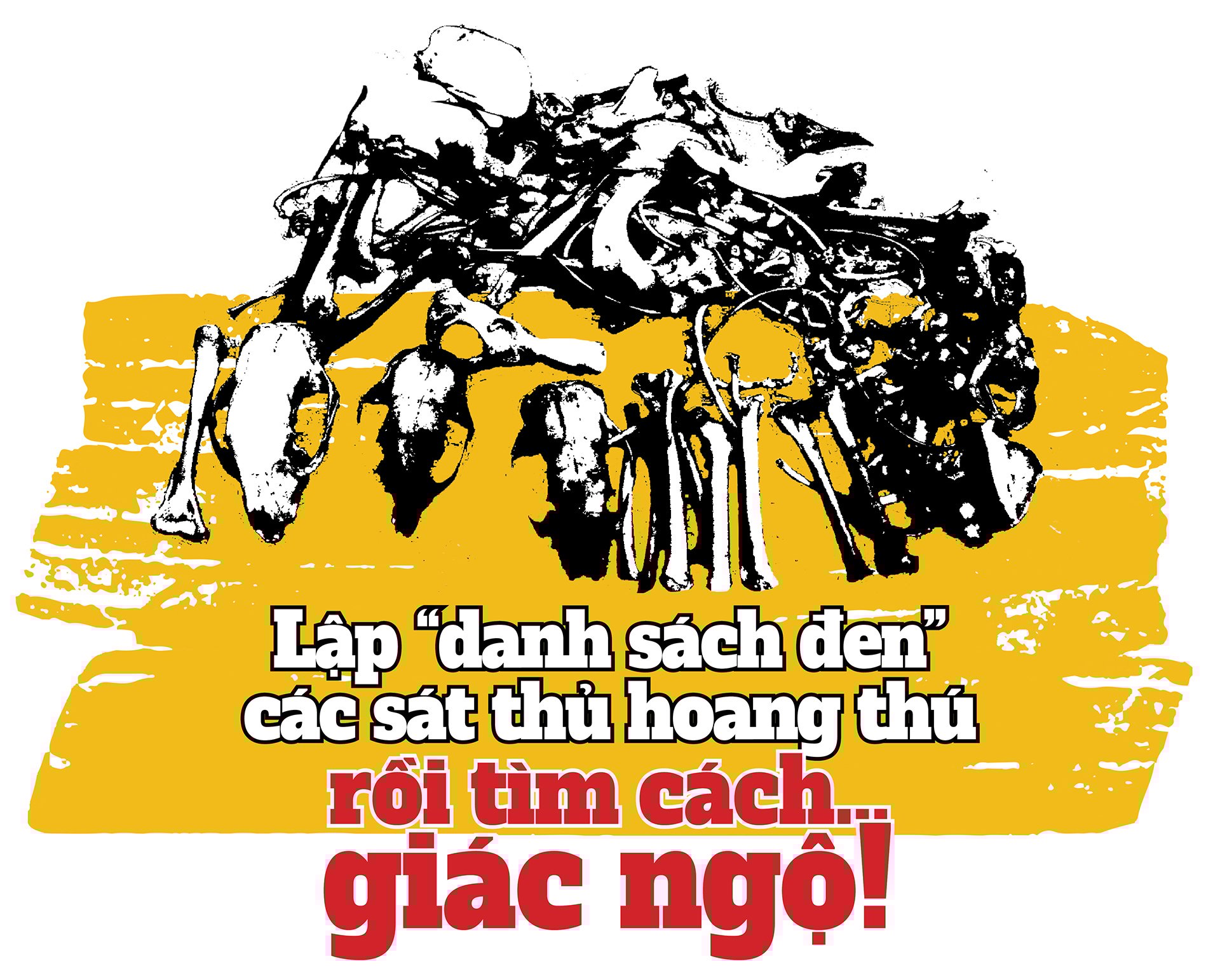 Bài cuối: “Biệt đội giải cứu thú rừng” và những lá chắn thép!  - Ảnh 8.
