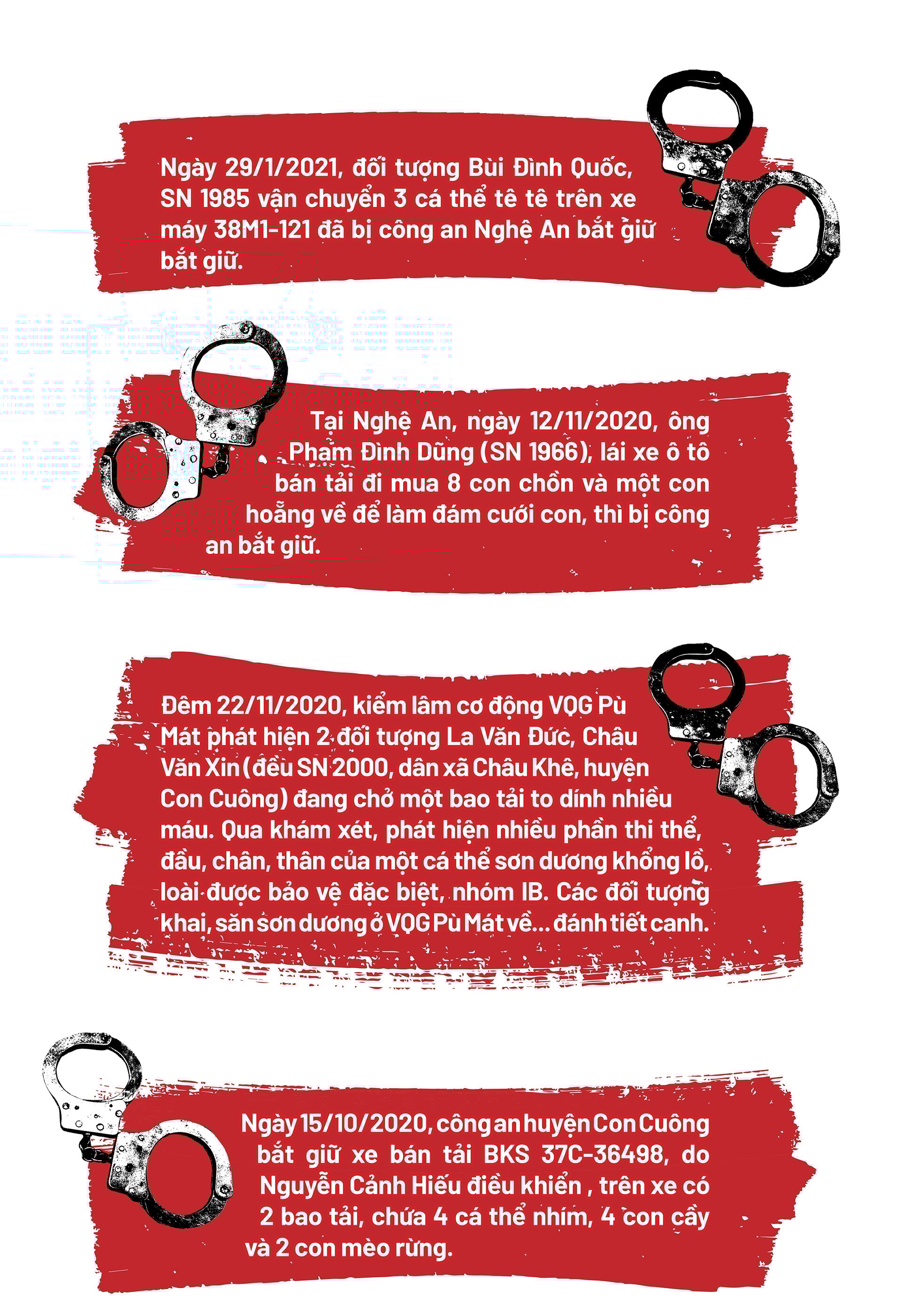 Bài cuối: “Biệt đội giải cứu thú rừng” và những lá chắn thép!  - Ảnh 13.