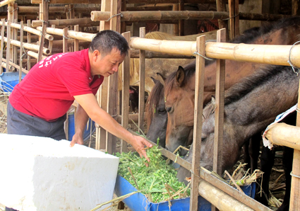 Ninh Bình: Nuôi con đặc sản thu tiền tỷ nhưng chúng tôi vẫn “khát” vốn - Ảnh 3.