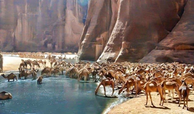 Cách bộ lạc Ababda làm du lịch tại nơi ẩn giấu những kho báu nổi tiếng thời Pharaoh - Ảnh 1.