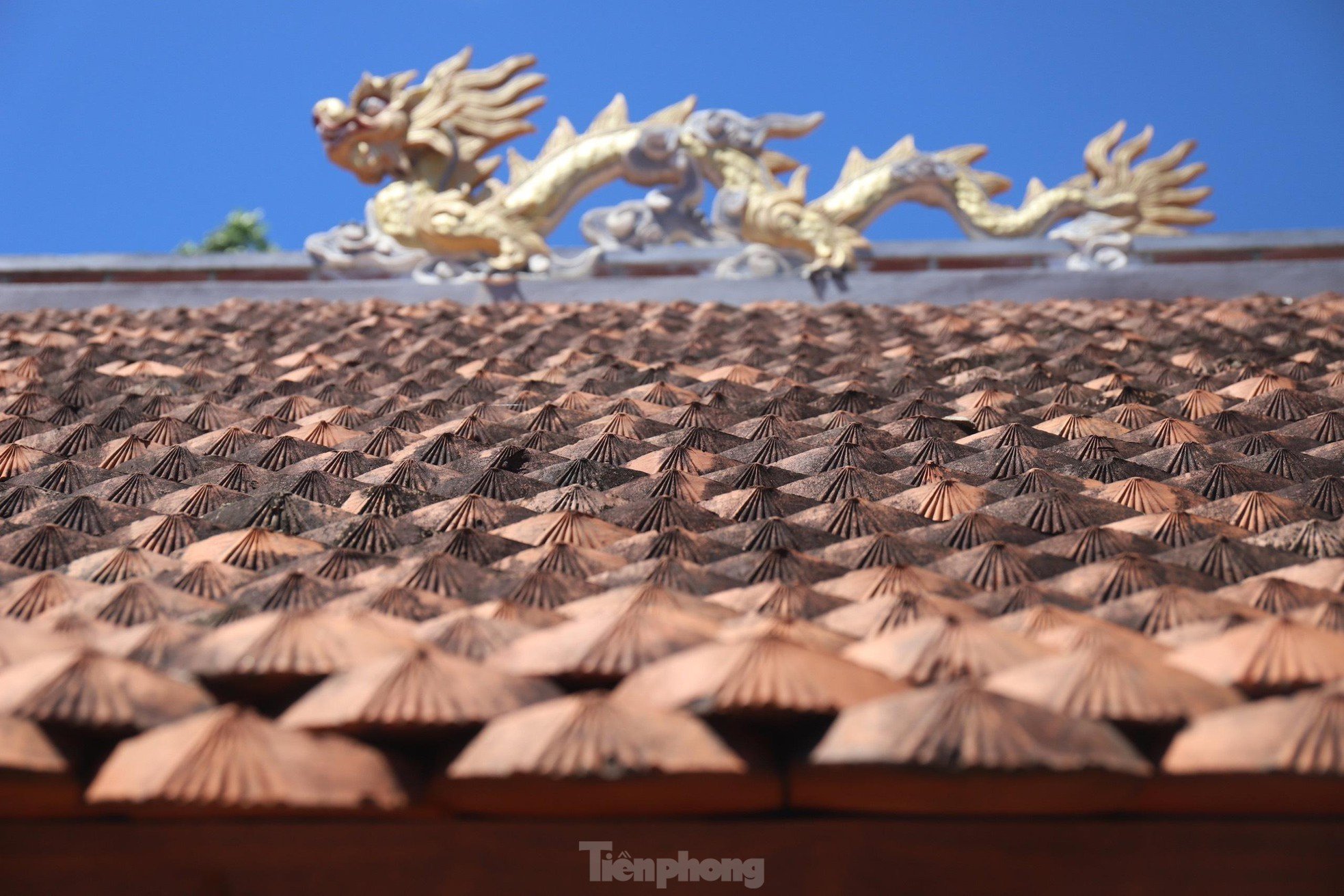 Mục sở thị ngôi đền bên dòng sông Ngàn Phố và bí ẩn về truyền thuyết máu ở Hà Tĩnh - Ảnh 8.