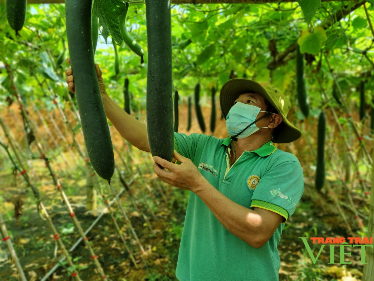 Yên Sơn nâng cao thu nhập cho người dân - Ảnh 1.