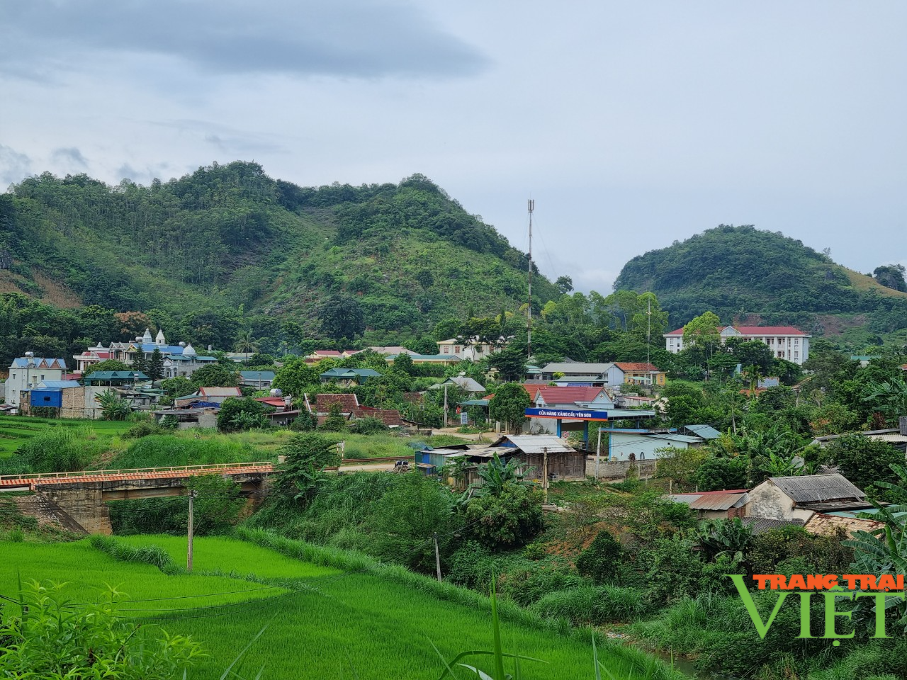 Yên Sơn nâng cao thu nhập cho người dân - Ảnh 2.