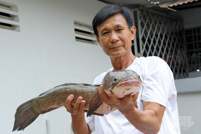 Thị trường thủy sản phía Nam đang "ấm nóng" trở lại - Ảnh 3. Thị trường thủy sản phía Nam đang "ấm nóng" trở lại - Ảnh 3.