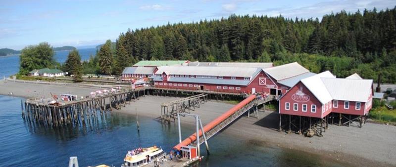 Alaska: Trải nghiệm &quot;đông lạnh&quot; với mê cung sông băng nơi vùng đất “siêu sóng thần” của thổ dân Tlingit. - Ảnh 5.
