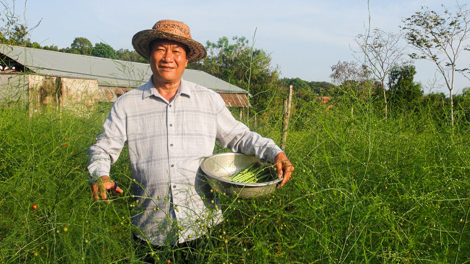Trồng rau hoàng đế, nuôi con đặc sản, ông Chủ tịch Hội Nông dân xã có tiền tỷ  - Ảnh 1.