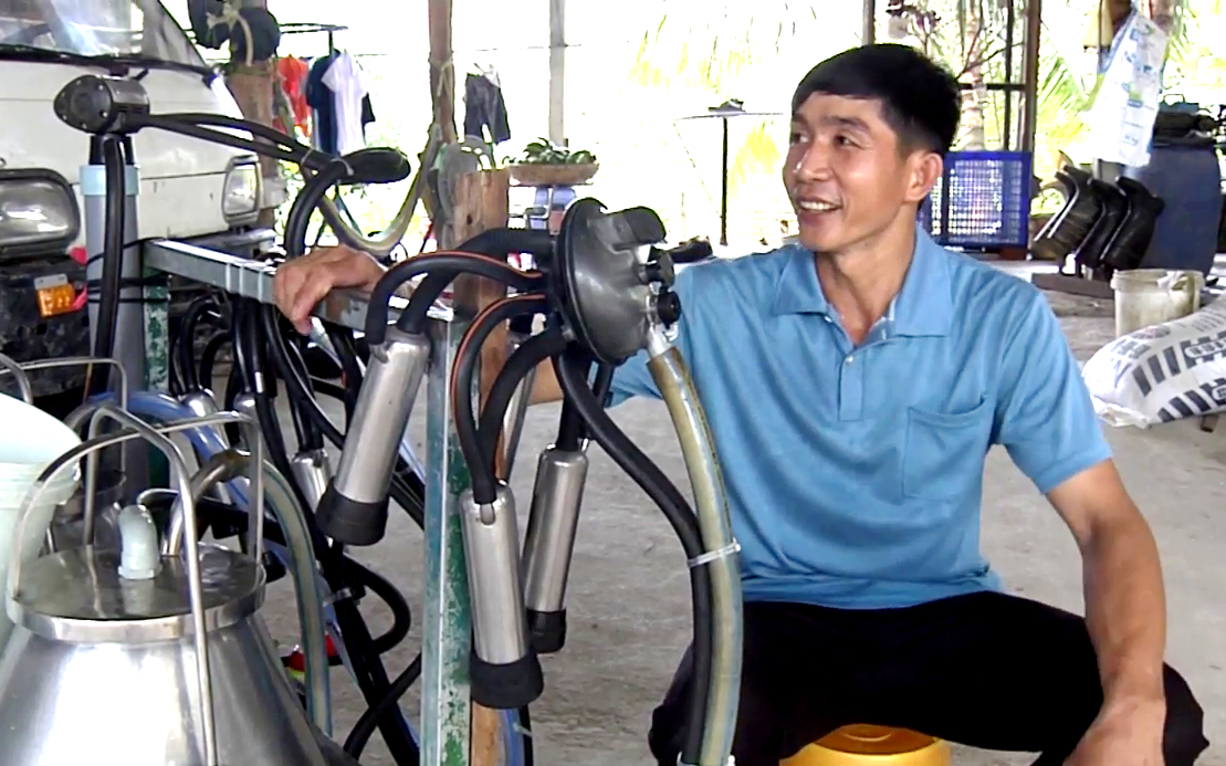 Sửa lại “nhịp tim” cho đàn bò sữa, anh nông dân 8x khiến doanh nghiệp thu mua sữa bò phải trả thêm tiền