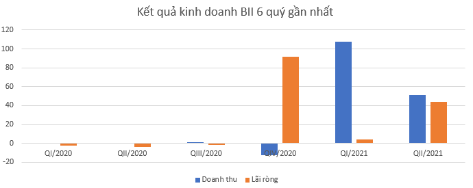 Sau khi trở thành cổ đông lớn của TDH, BII thoái vốn và giải thể loạt công ty con - Ảnh 2.