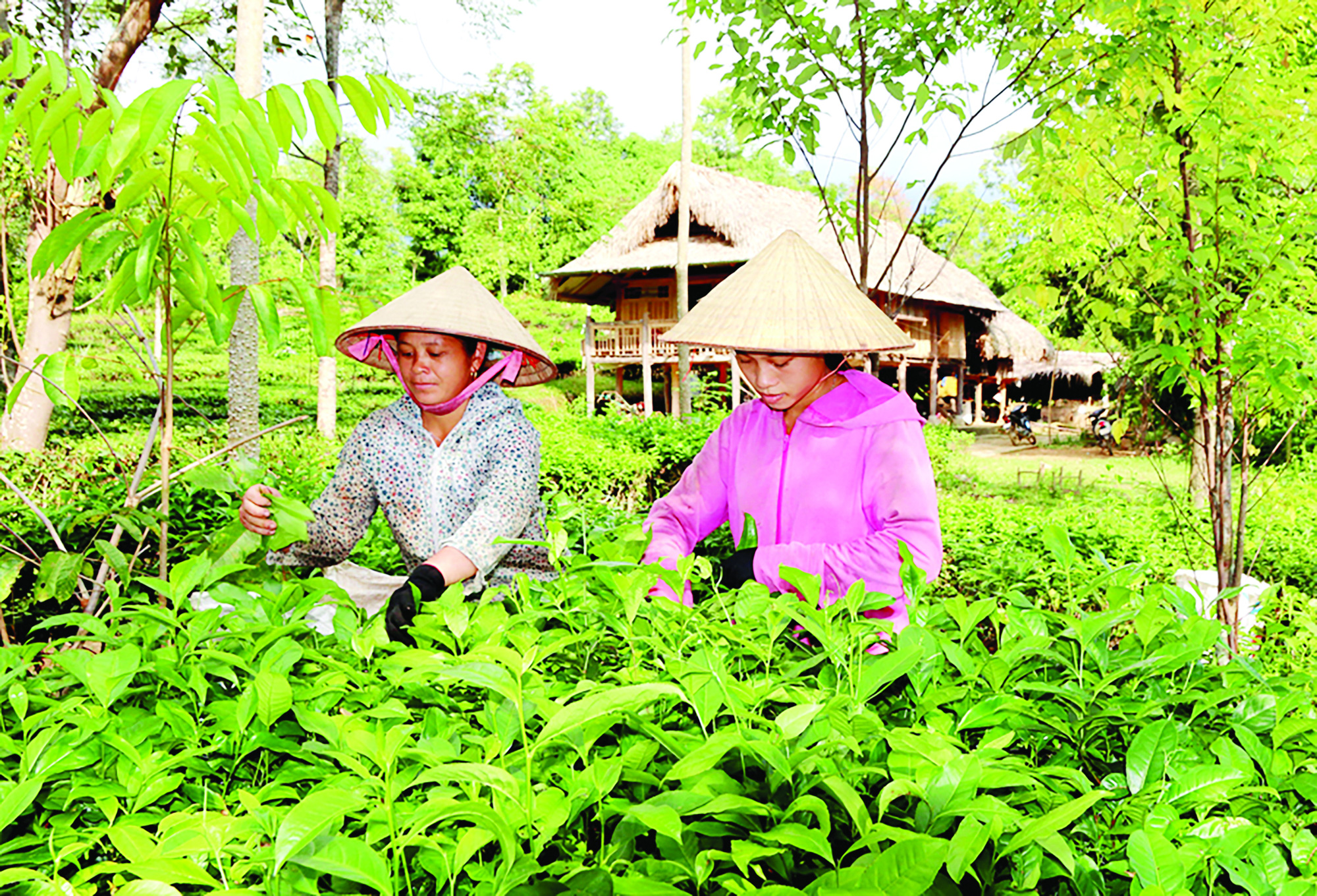 Khi Vô Điếm khơi dậy sức dân - Ảnh 2. Khi Vô Điếm khơi dậy sức dân - Ảnh 2.