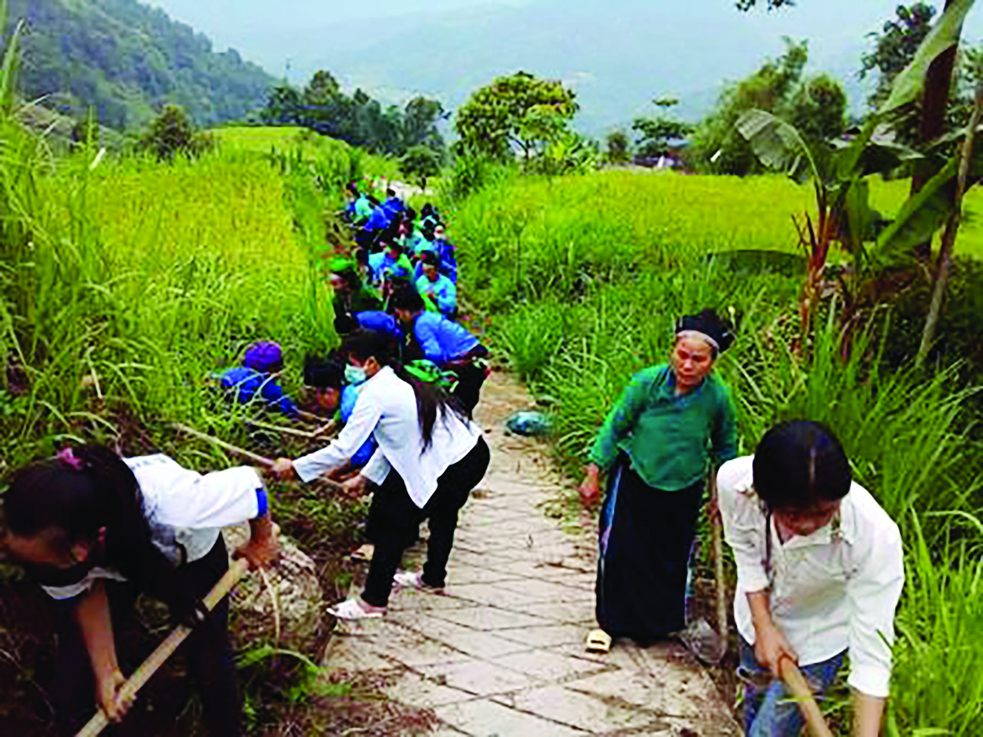 Phụ nữ Hà Giang với phong trào “môi trường xanh” - Ảnh 2. Phụ nữ Hà Giang với phong trào “môi trường xanh” - Ảnh 2.