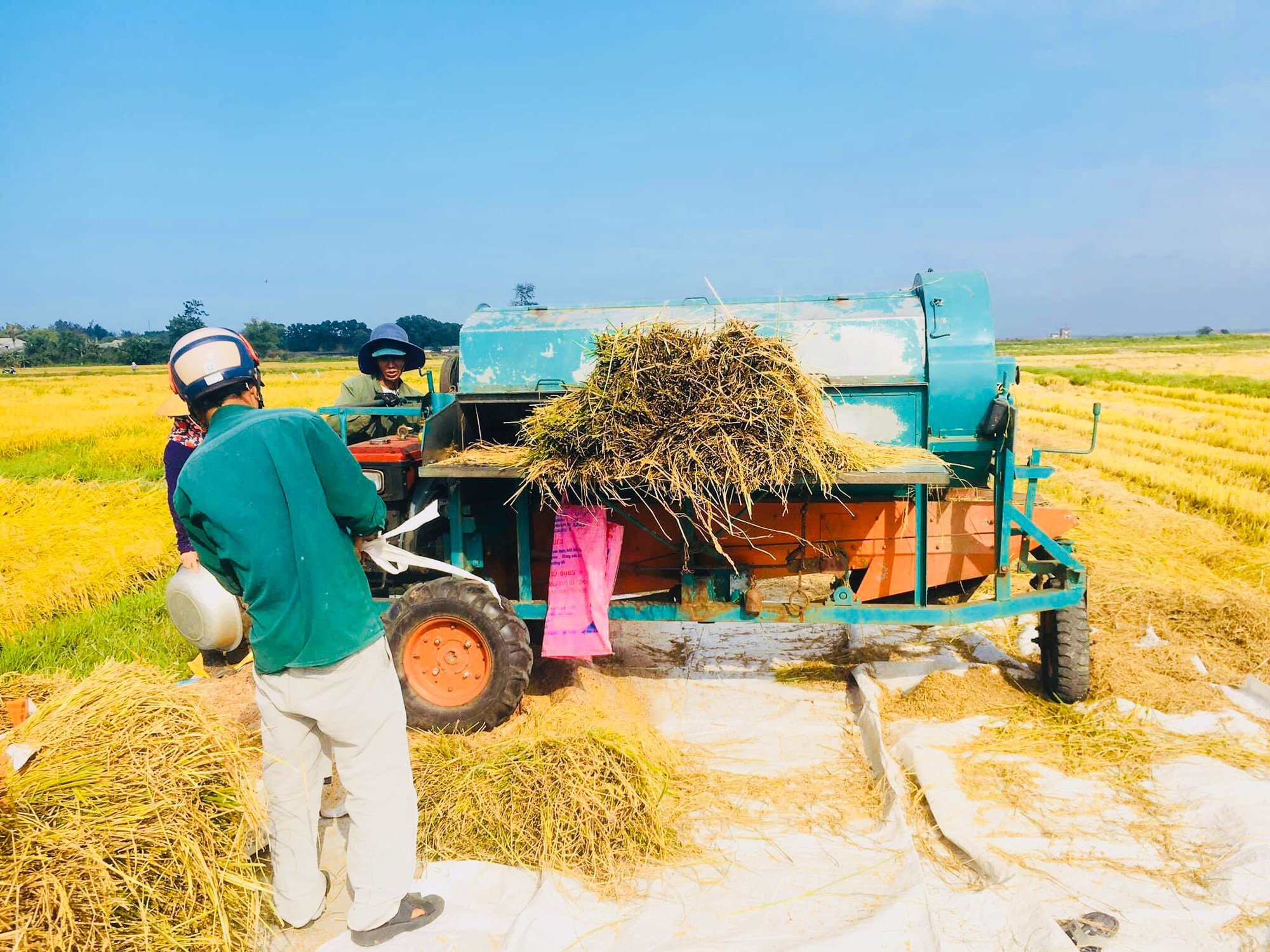 Kể chuyện làng: Lục ký ức trên cánh đồng quê - Ảnh 2.