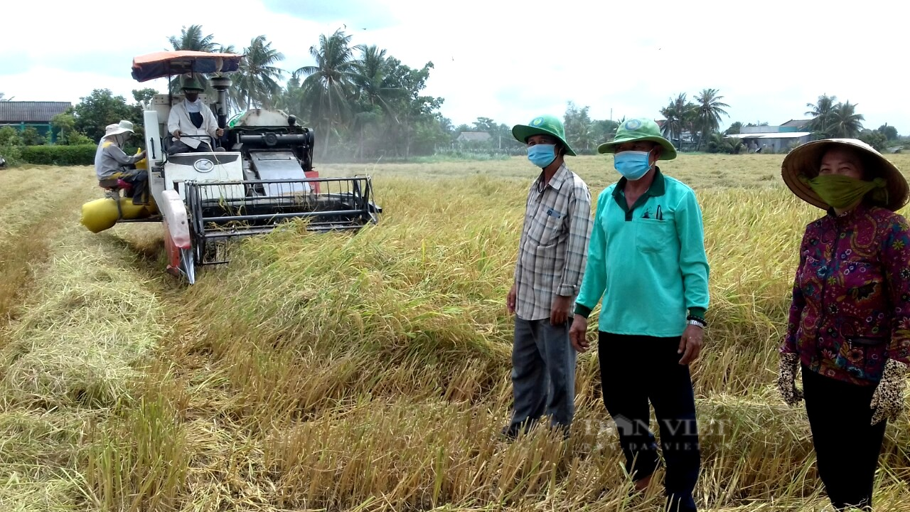 Làm thương lái mùa dịch Covid-19, cái mũi bất ngờ… to ra - Ảnh 1.