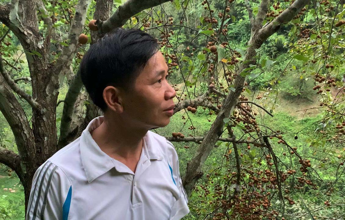 Kỹ sư nông nghiệp người Tày lên núi chinh phục &quot;vùng đất khó&quot; - Ảnh 6.