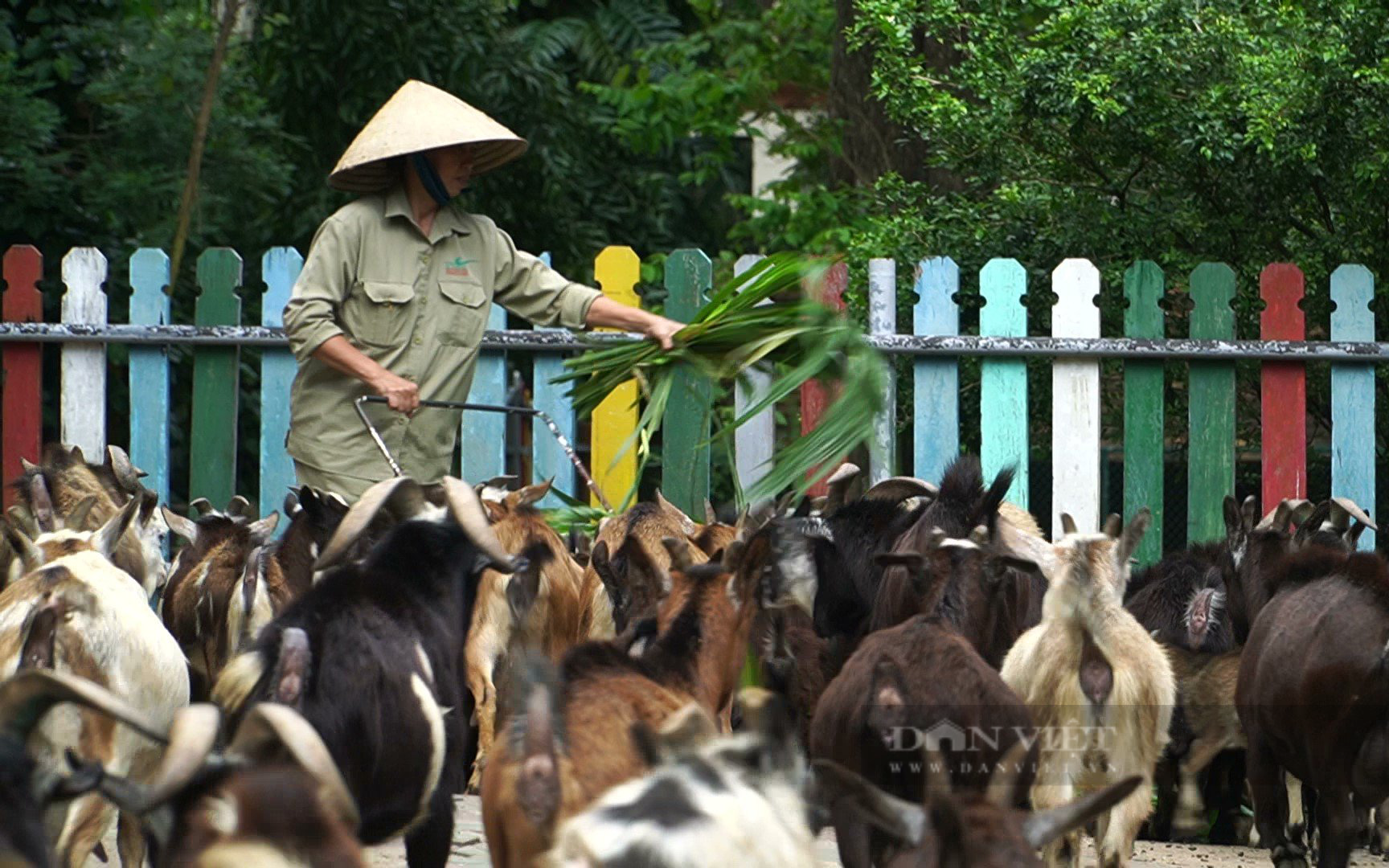 Thực hư việc lãnh đạo Thảo Cầm Viên Sài Gòn kêu gọi hỗ trợ kinh phí - Ảnh 1.