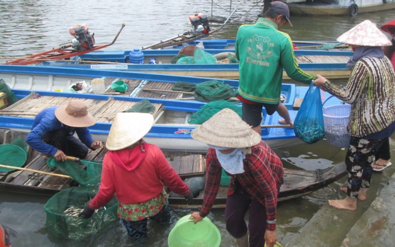 An Giang: Chưa năm nào thấy cá linh ít như năm nay, ở rốn cá còn ít thế này thì nơi khác sao nhiều được - Ảnh 2.