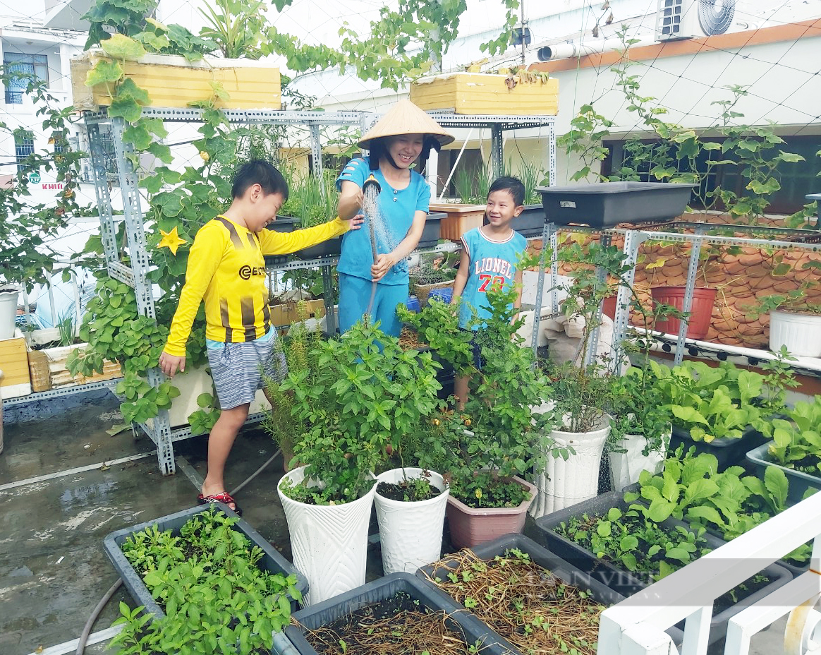 Kiên Giang: Tận dụng sân thượng, mảnh vườn trồng rau tại nhà mùa dịch - Ảnh 3.