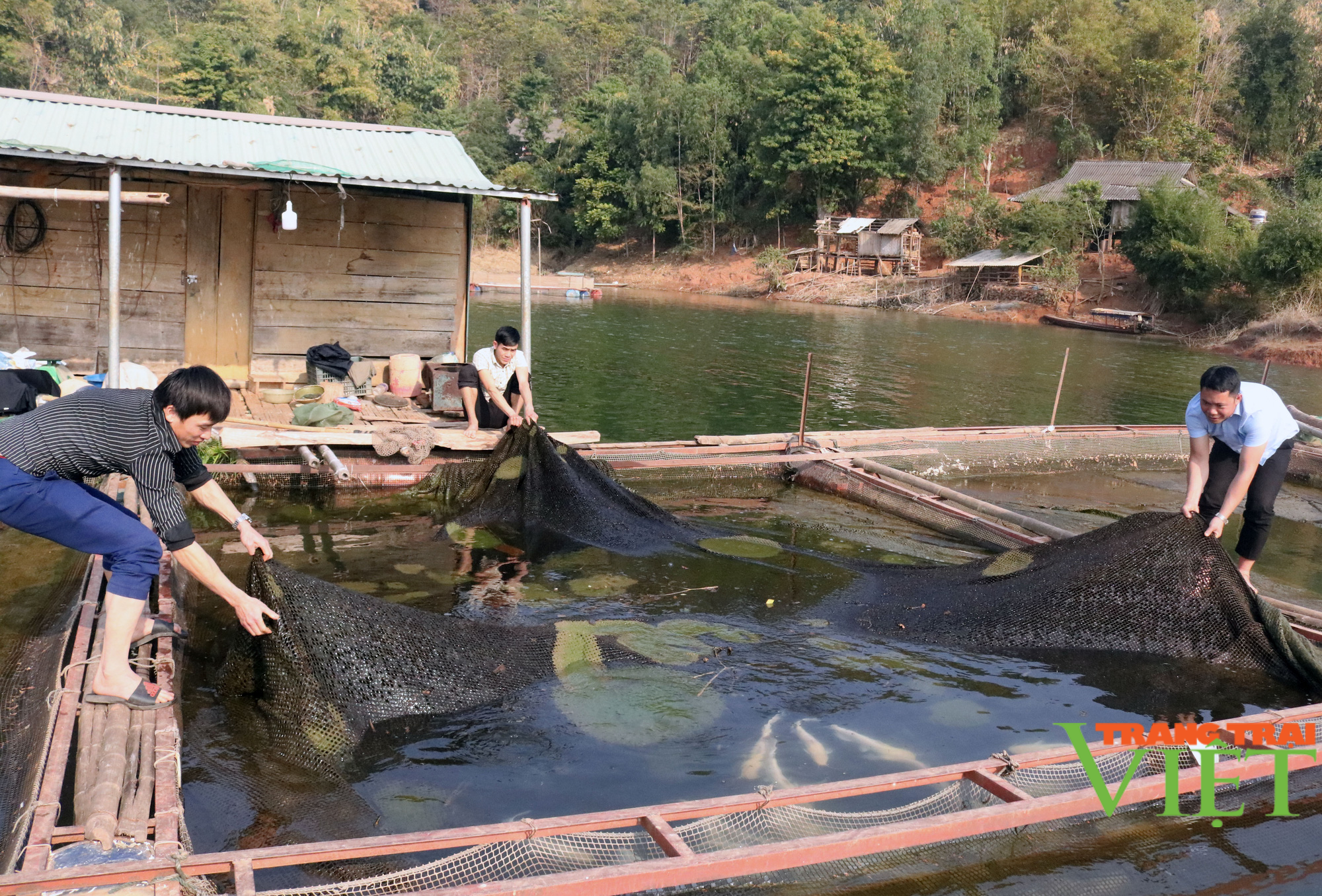 Nuôi cá lồng trên lòng hồ thủy điện Sơn La, người dân bản Ít có thu nhập ổn định - Ảnh 1. Nuôi cá lồng trên lòng hồ thủy điện Sơn La, người dân bản Ít có thu nhập ổn định - Ảnh 1.