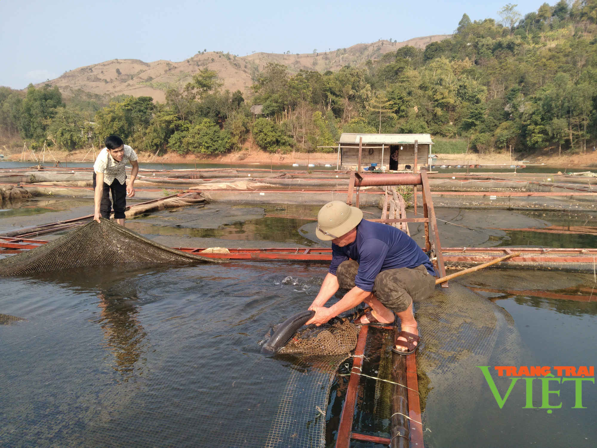 Nuôi cá lồng trên lòng hồ thủy điện Sơn La, người dân bản Ít có thu nhập ổn định - Ảnh 2. Nuôi cá lồng trên lòng hồ thủy điện Sơn La, người dân bản Ít có thu nhập ổn định - Ảnh 2.
