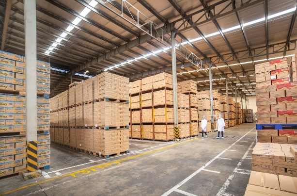 BA MŨI NHỌN TRONG CHIẾN LƯỢC THỰC HIỆN MỤC TIÊU KÉP CỦA VINAMILK - Ảnh 1.
