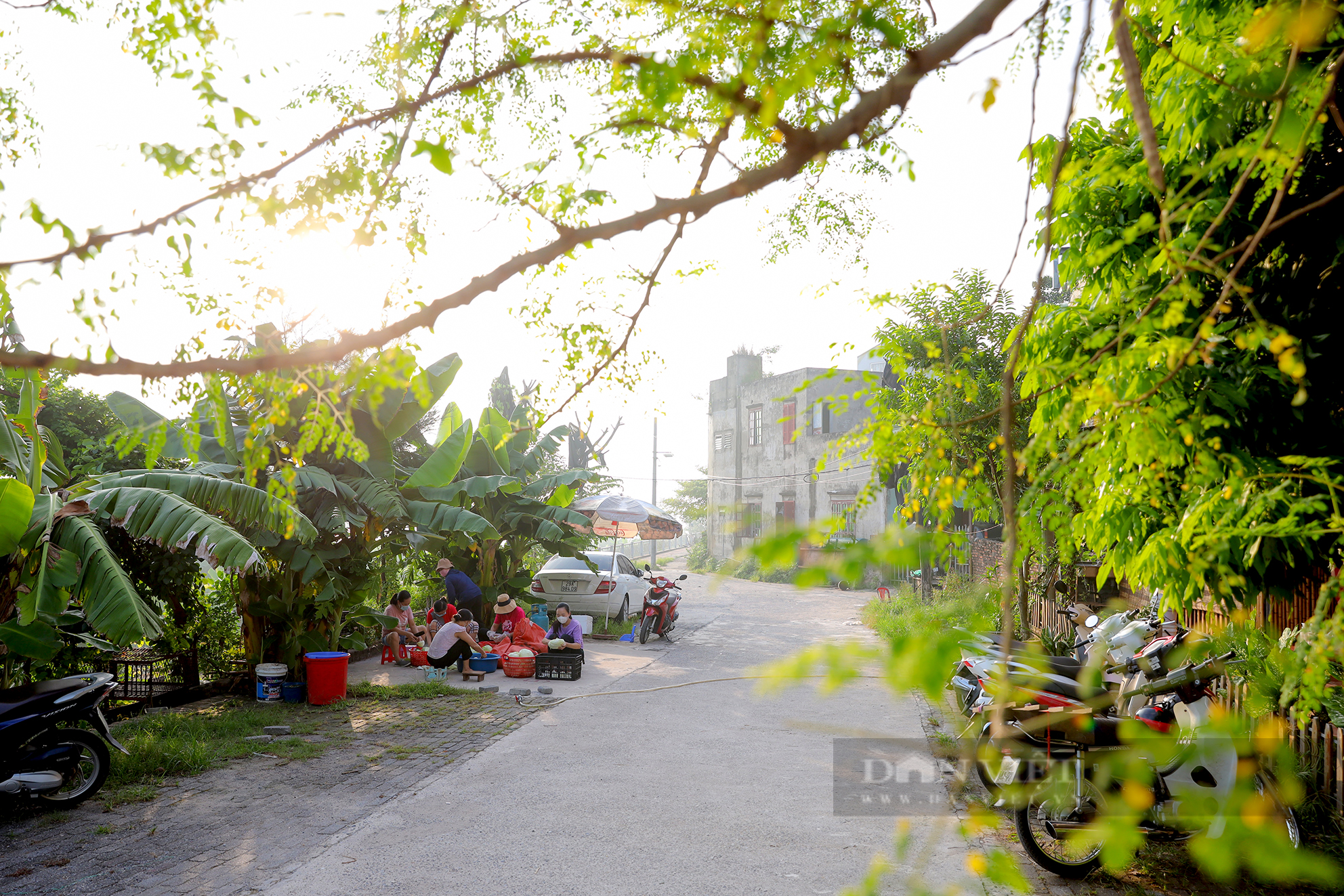 Bếp ăn tình nghĩa - Ảnh 1.