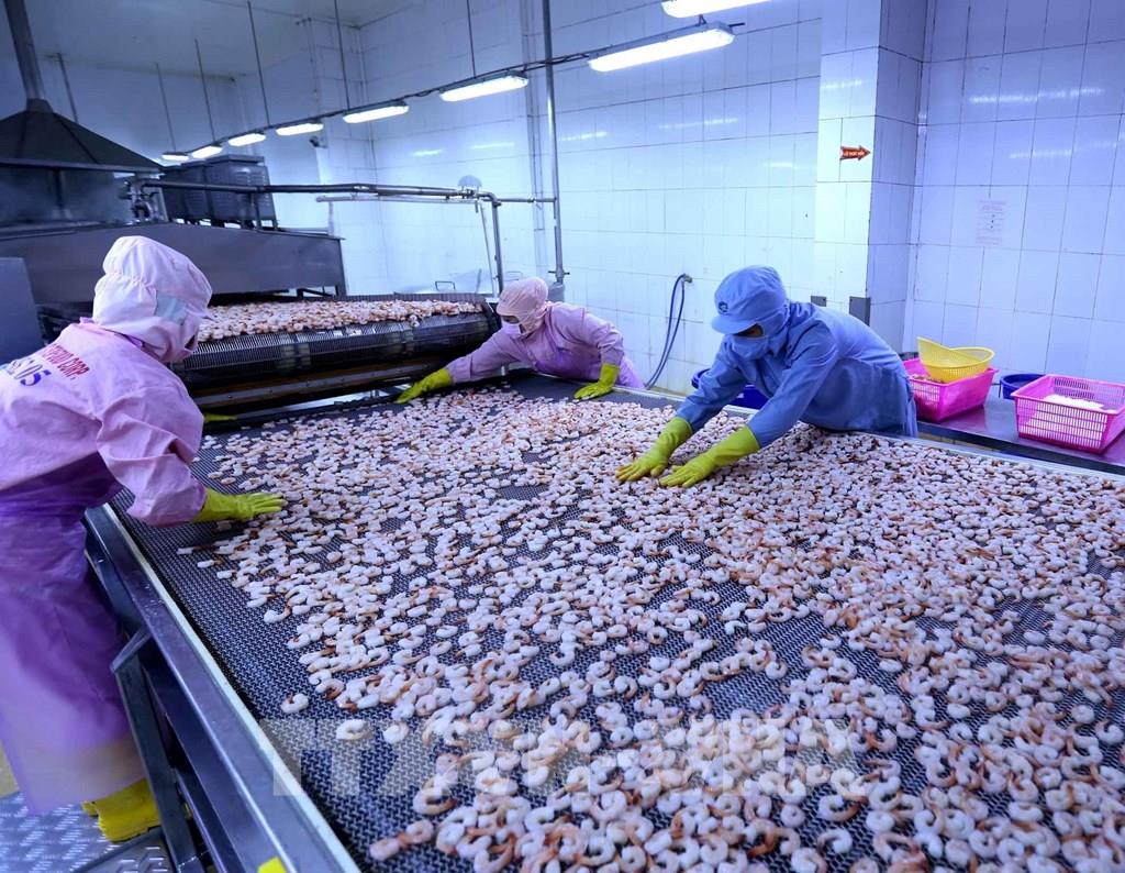 Bộ trưởng Lê Minh Hoan:  - Ảnh 2.