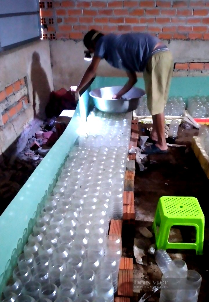 Lạ: Nuôi vỗ béo con trăm chân, ông nông dân thu lời mỗi năm hàng trăm triệu đồng - Ảnh 2.