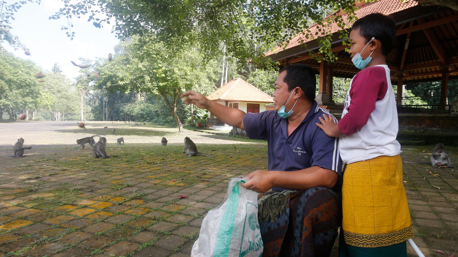 Khỉ Bali đột nhập vào nhà người dân do dịch Covid-19 - Ảnh 4.