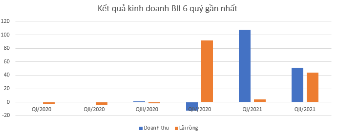 Dùng toàn bộ vốn góp để tạm ứng đầu tư dự án, Tập đoàn Louis Land có đang mạo hiểm? - Ảnh 1.